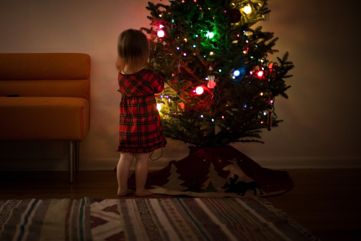 Een echte of neppe kerstboom?